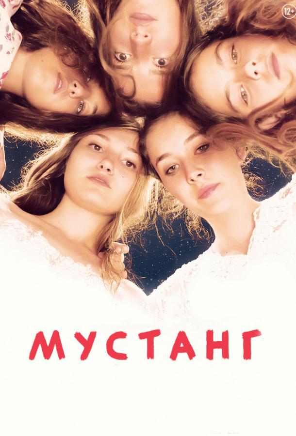 Мустанг poster