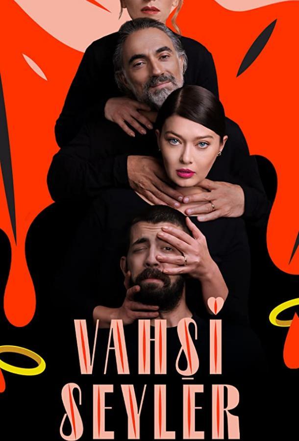 Дикие штучки 1 Сезон poster