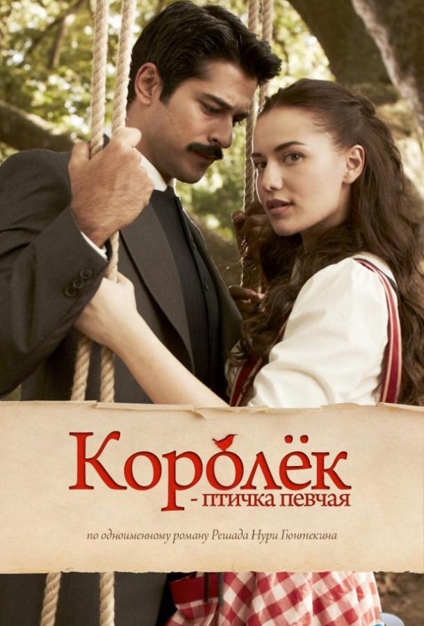 Королёк – птичка певчая 1 Сезон poster