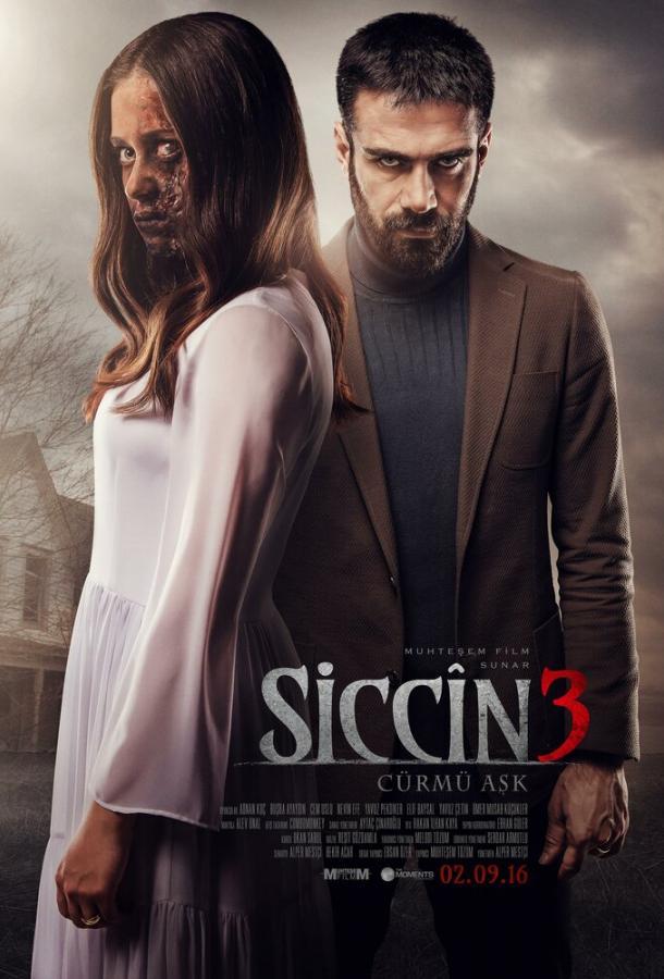 Сиджин 3 poster